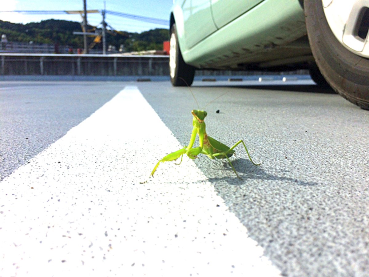 洗車　あるある