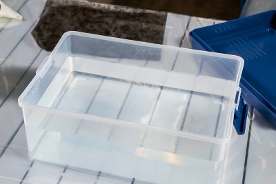 水圧転写 DIY プロホンポ