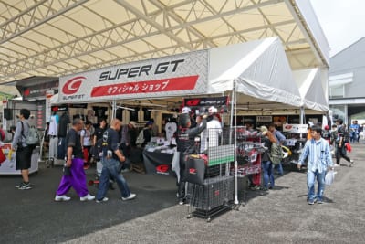 super gt、supergt2018、スーパーGT、観戦、見どころ、GT500、GT300、レースクイーン、子供