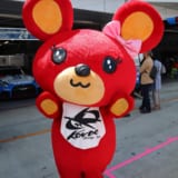 super gt、supergt2018、スーパーGT、観戦、見どころ、GT500、GT300、レースクイーン、子供