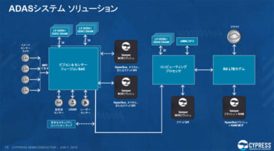 SEMPER、センパー、日本サイプレス