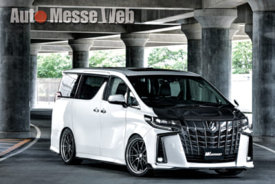 アルファード、ヴェルファイア、30、後期、ロェン、シックスセンス、L.D.J、魔裟斗、アーティシャンスピリッツ、エアロ