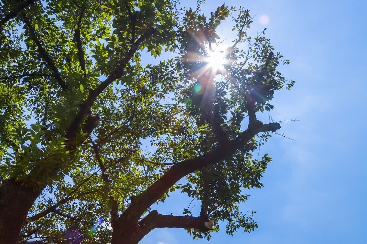 夏のキャンプは紫外線が強い