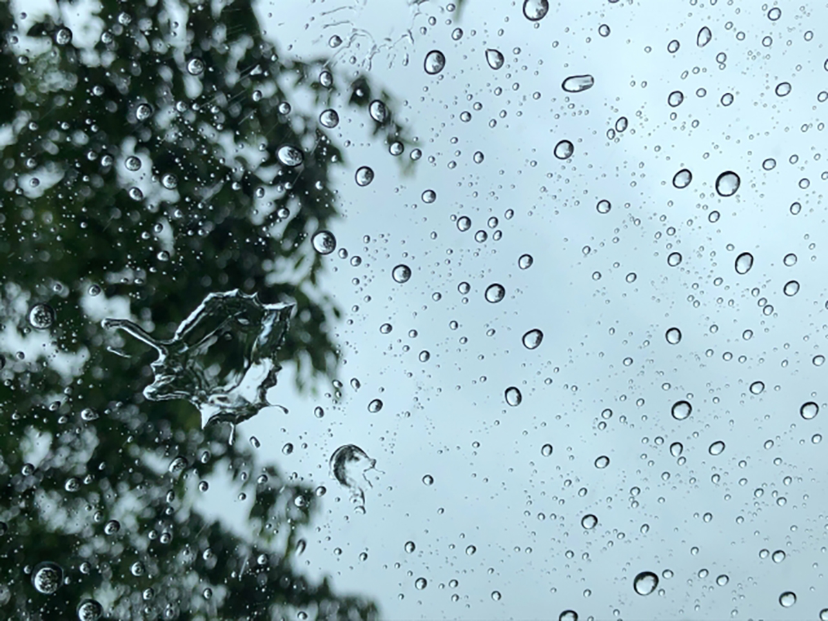 雨の日は窓を少し開けて車内でコーヒーを飲むのも素敵