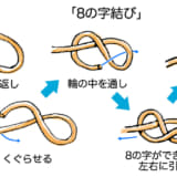 コブが大きくなる分、ストッパー役として重宝する「8の字結び」