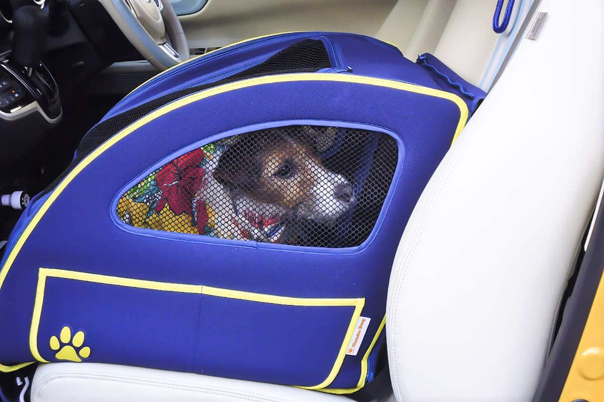 愛犬にとっては 乗せ方 だけじゃなく 車種 も重要 ワンコ の快適ドライブ術とは Auto Messe Web カスタム アウトドア 福祉車両 モータースポーツなどのカーライフ情報が満載