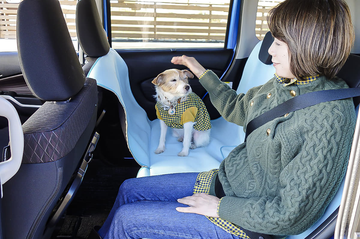 愛犬にとっては 乗せ方 だけじゃなく 車種 も重要 ワンコ の快適ドライブ術とは Auto Messe Web カスタム アウトドア 福祉車両 モータースポーツなどのカーライフ情報が満載