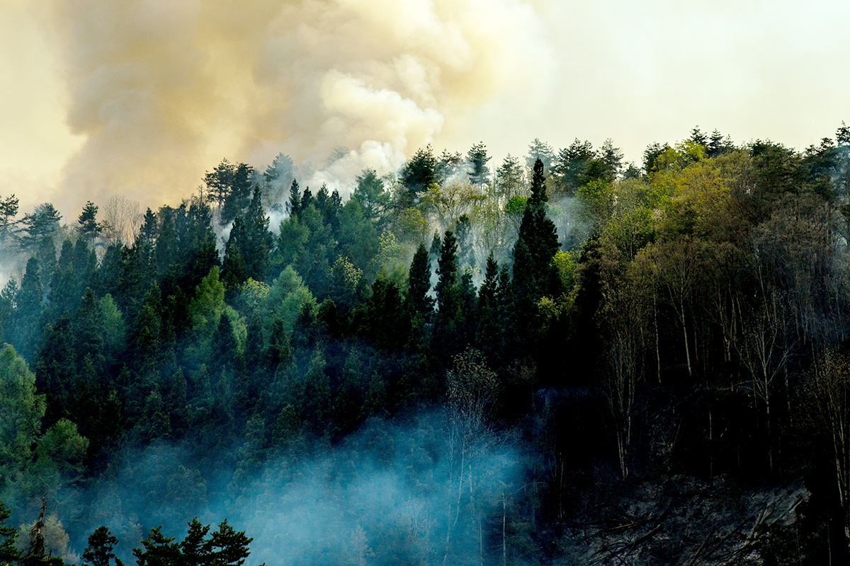 山火事は春に多い