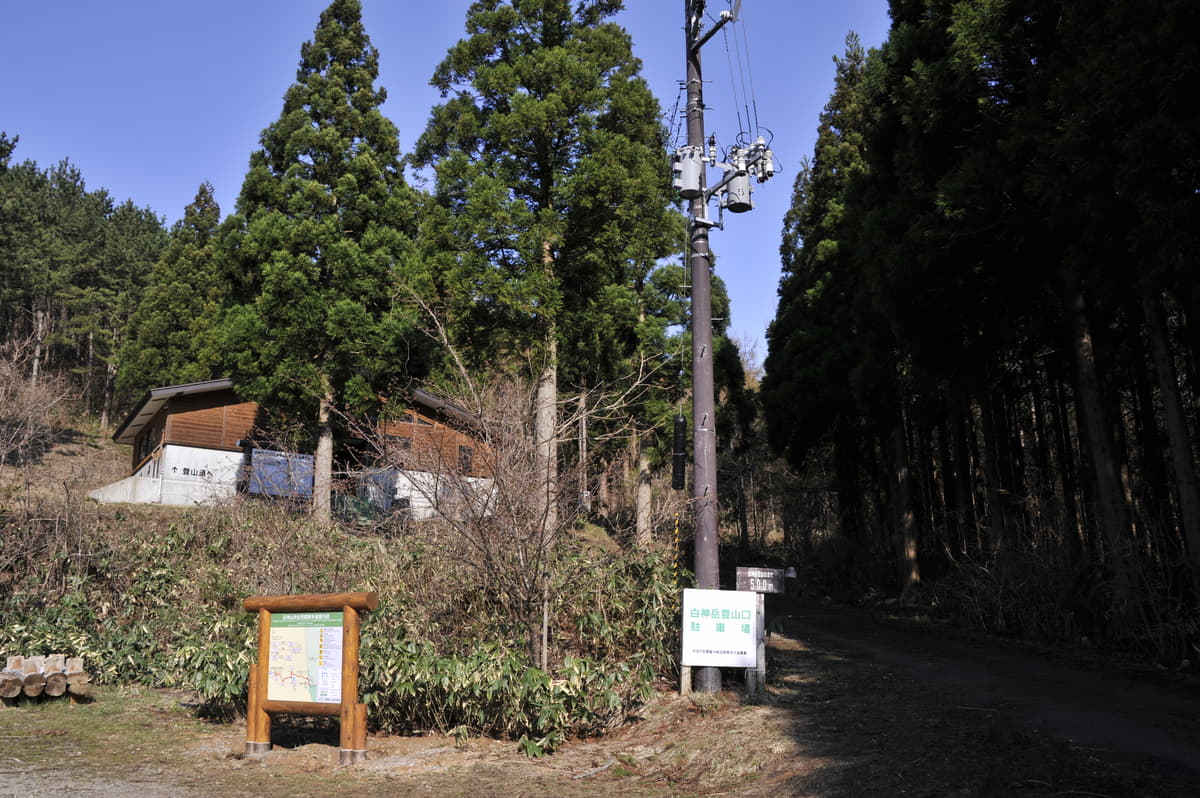 国有林などは山菜採りが可能です