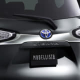 バックドアガーニッシュ