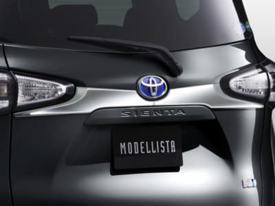 バックドアガーニッシュ