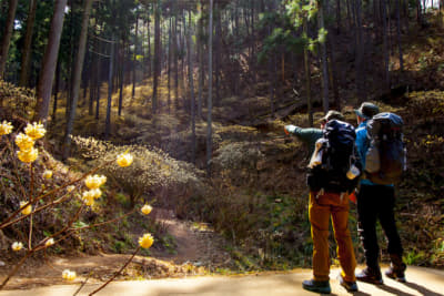 焼森山を登山。相棒はメルセデス・ベンツA180syle