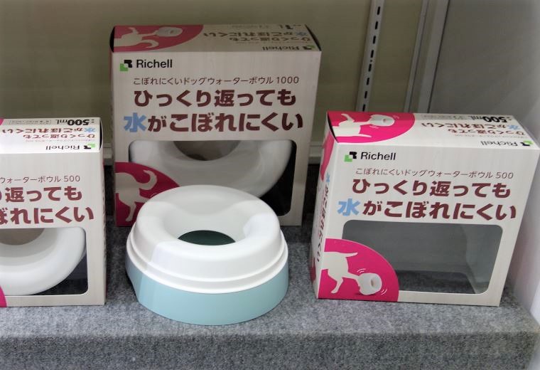 愛犬と車中泊するときに気をつけるべきこととは