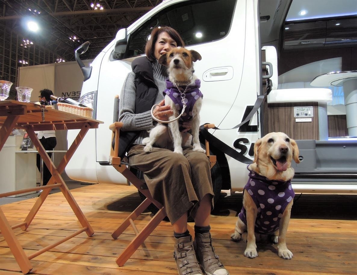 愛犬と車中泊するときに気をつけるべきこととは