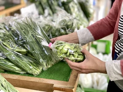 道の駅でお買い物