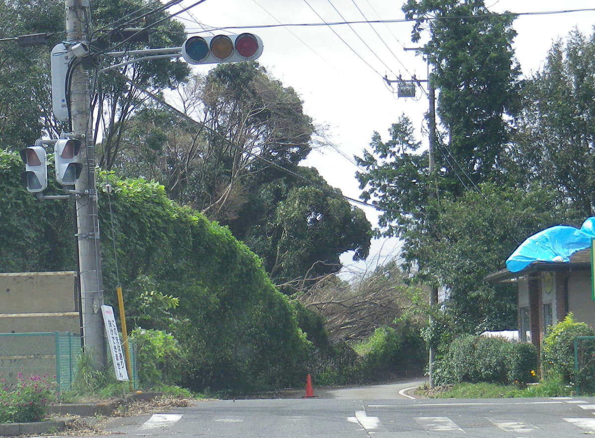 キャンプ場までのルートも台風で混乱することもある