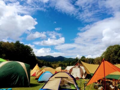 難民キャンプのようなキャンプサイト
