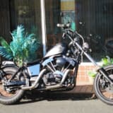 路上駐車するカスタムバイク