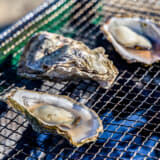 能登牡蠣は小ぶりな身に旨味ぎっしり