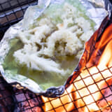 大井川電機製作所がつくっている「ホホホタケ」