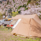 【画像】年に１度最高の時間が訪れる！　「お花見キャンプ」ができるオートキャンプ場10選 〜 画像2