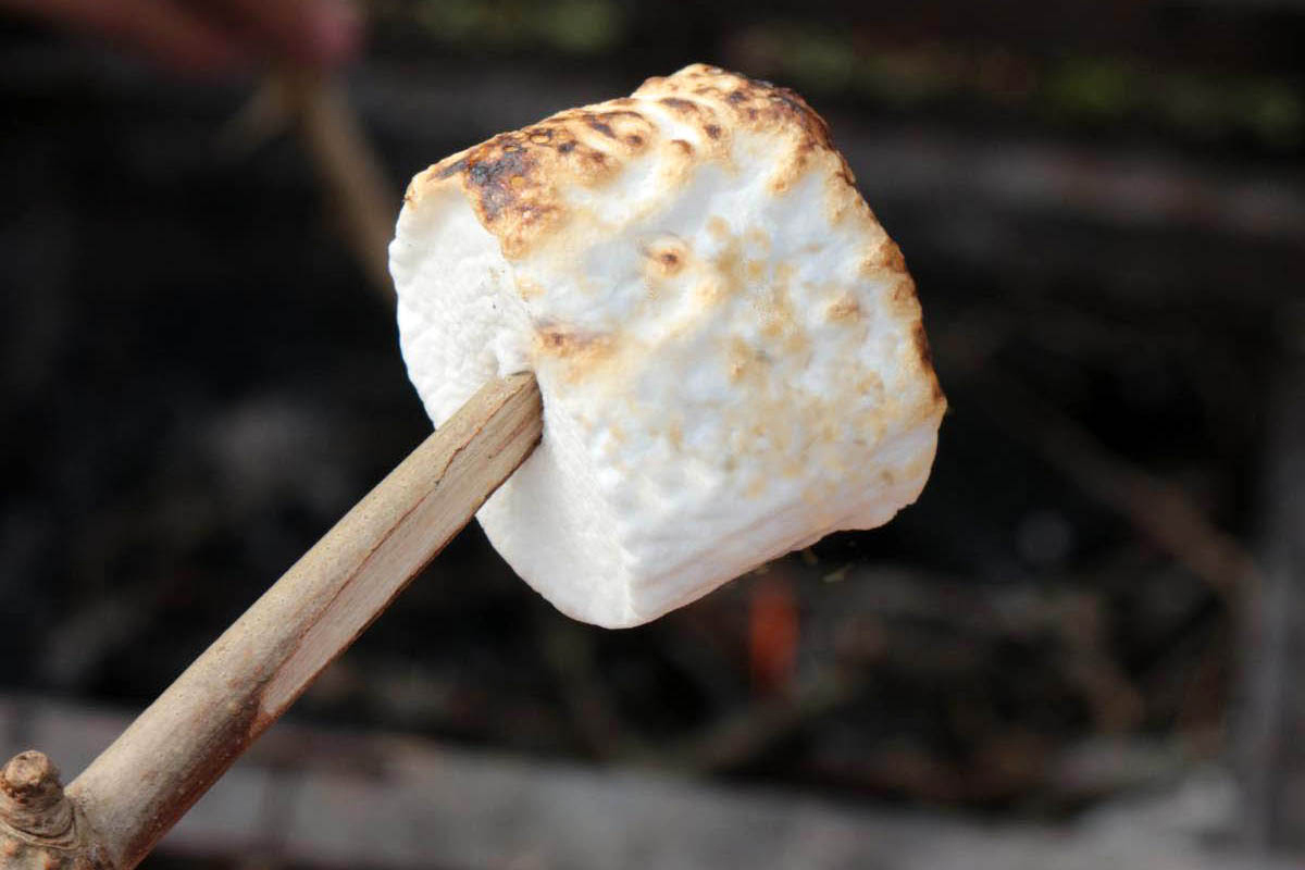 お手軽映えでキャンプスイーツの一丁目一番地 焼きマシュマロ は意外なほど奥深かった カスタム アウトドア 福祉車両 モータースポーツなどのカーライフ情報が満載 Auto Messe Web