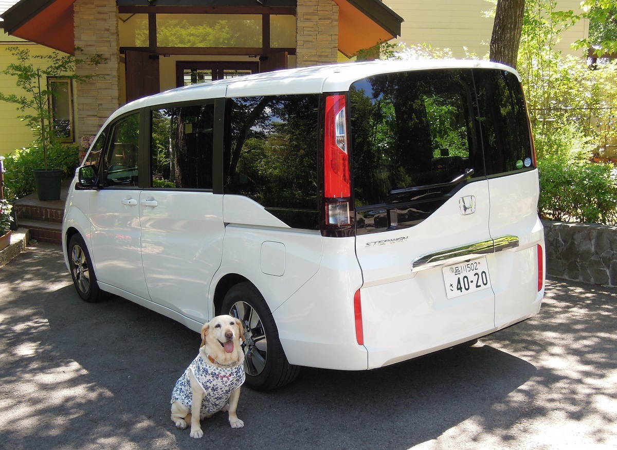 RP型ステップワゴンと愛犬