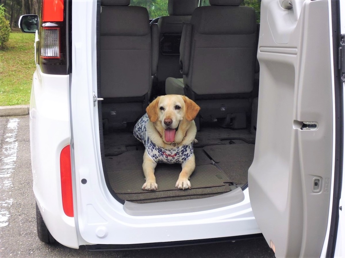 わくわくゲートと愛犬