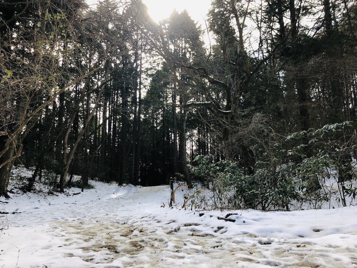 冬季閉鎖のキャンプ場