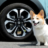 愛犬のためのホンダ純正アクセサリー「Honda Dog」シリーズ