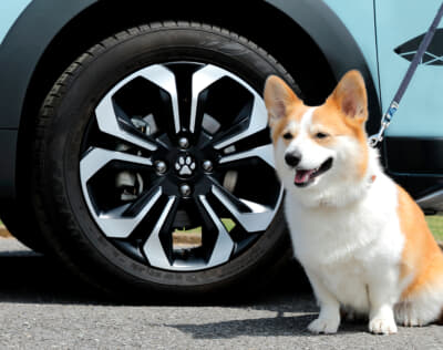 愛犬のためのホンダ純正アクセサリー「Honda Dog」シリーズ