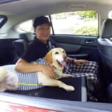 後席に乗車する筆者と愛犬