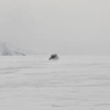 【画像】南極を走るのにオフローダーじゃなくて65年前のポルシェ！　ソリとキャタピラを履いた356Aの魔改造っぷりが衝撃だった 〜 画像14