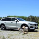 ボルボV60クロスカントリーと愛犬
