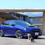 レヴォーグと愛犬