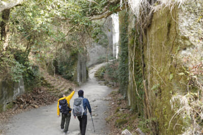 鋸山の低山ハイク