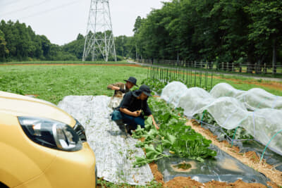 野菜の育ち具合はSNSで見守ることができる