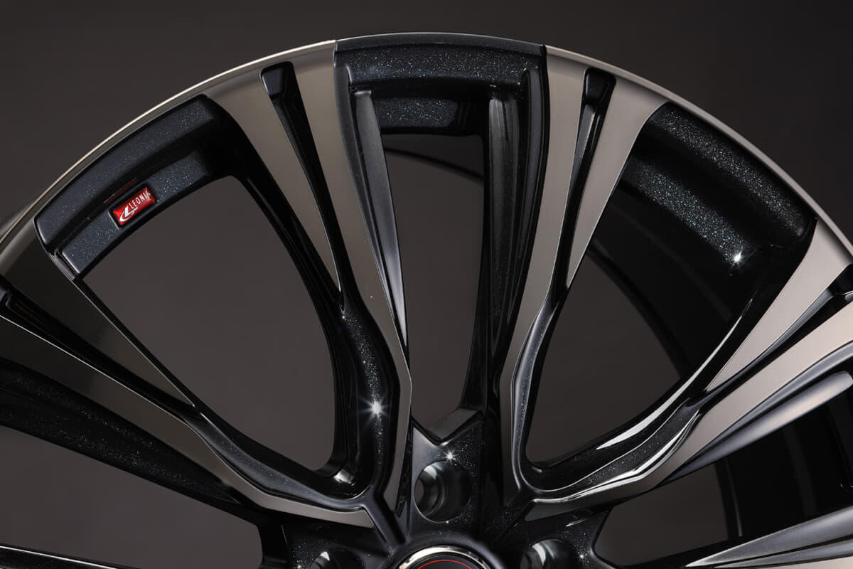 レオニスVR詳細2