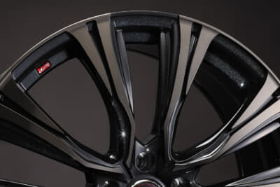 レオニスVR詳細2