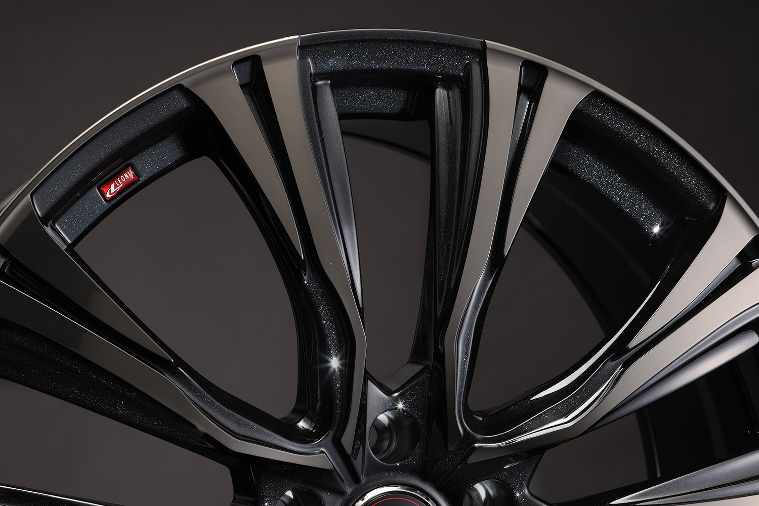 レオニスVR詳細2