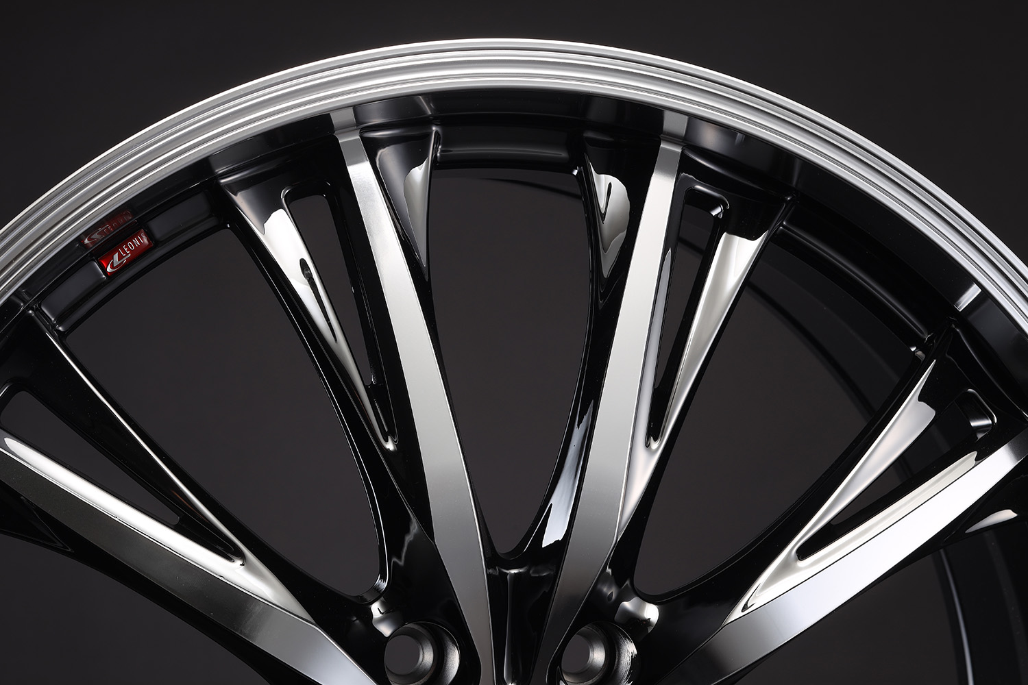 レオニスRTの詳細3