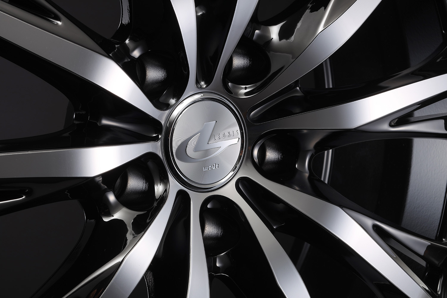 レオニスRTの詳細2