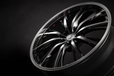 レオニスRTのイメージ