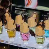 プロヴァンスの恋の集合イメージ