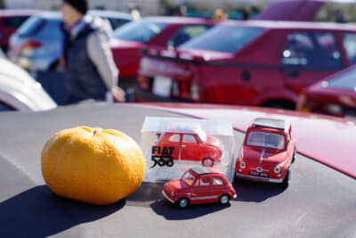 愛車の上を可愛らしくディスプレイ