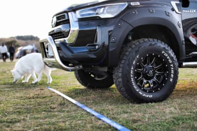 海沿いの美しい公園が会場のため、愛犬と共に散歩に訪れた一般の皆さんも多く見かけた