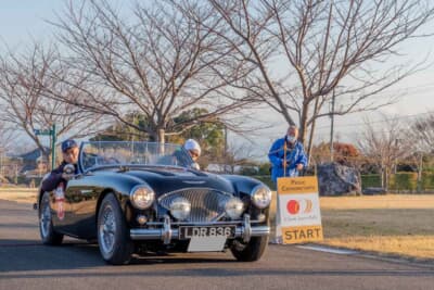 Car No.29 1955年式 オースチンヒーレー 100 BN2