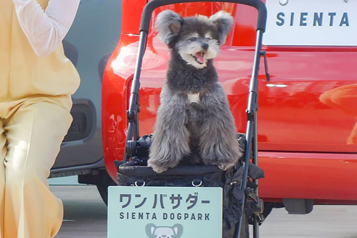トヨタ「シエンタ」は愛犬にとっても優しい？ ほんとにドッグ