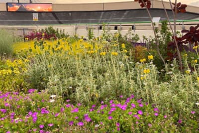 空中庭園にはおよそ300種類、4万本の植物が植えられている