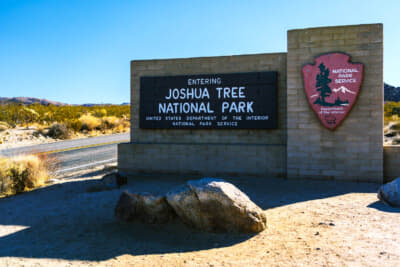 ジョシュア・ツリー国立公園の入口。ゲートで「タランチュラが大発生しているから靴はテント内に」と言われてビビった記憶がある